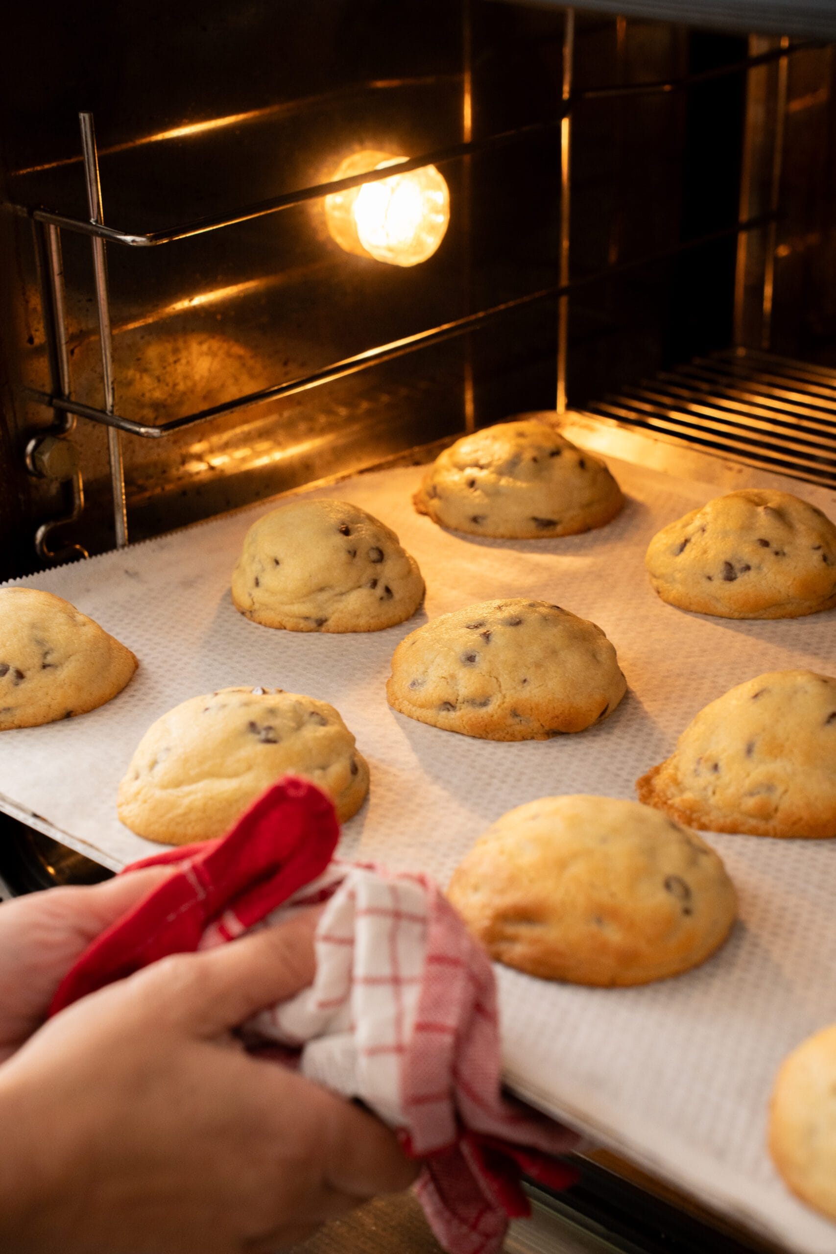 Salon de thé Cookies Chez Jo et Yo